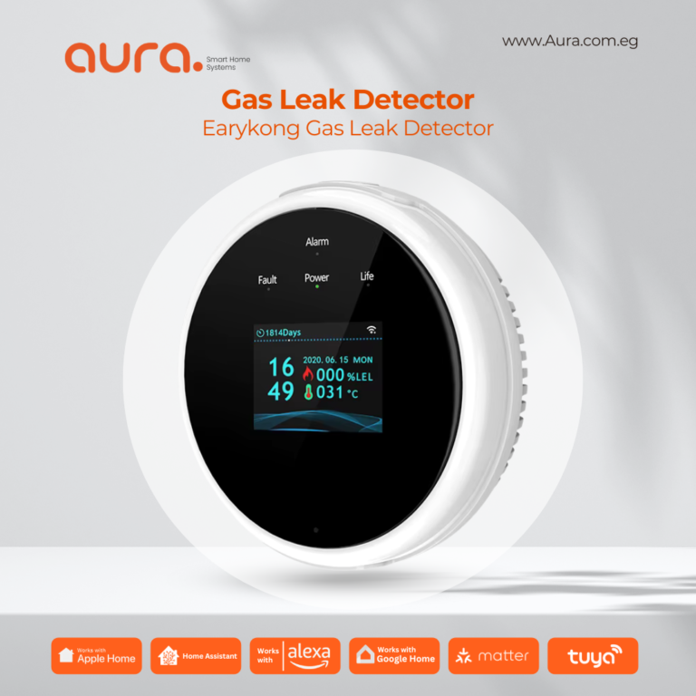 Gas Leak Detector